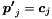 \[ \boldsymbol{p'}_j = \boldsymbol{c}_j \]