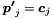 \[ \boldsymbol{p'}_j = \boldsymbol{c}_j \]