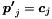 \[ \boldsymbol{p'}_j = \boldsymbol{c}_j \]